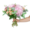 A bouquet of hydrangeas
